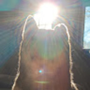 Meet your Posher, Asher